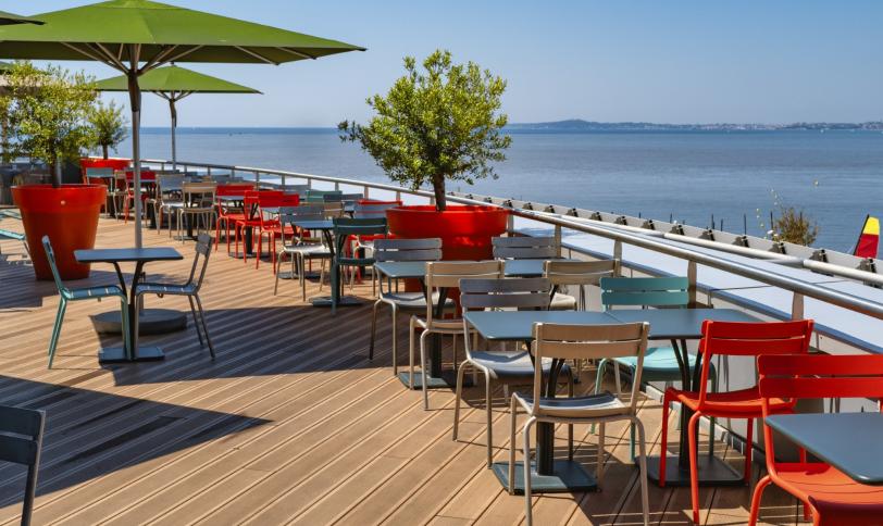 Marrone colorado rigata