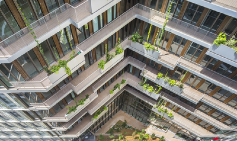 Brun exotique structurée