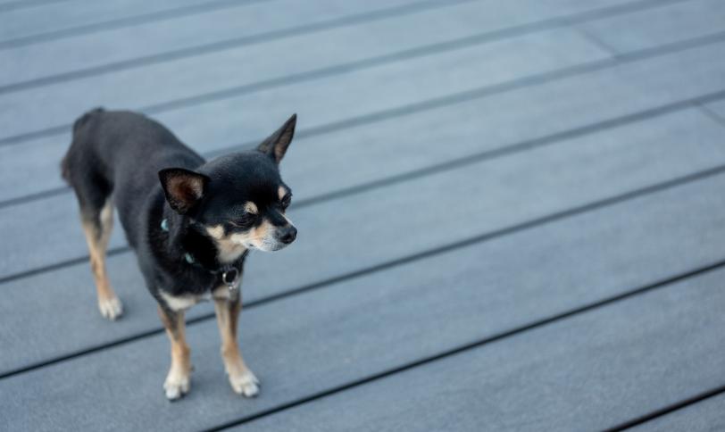 Gris anthracite structurée