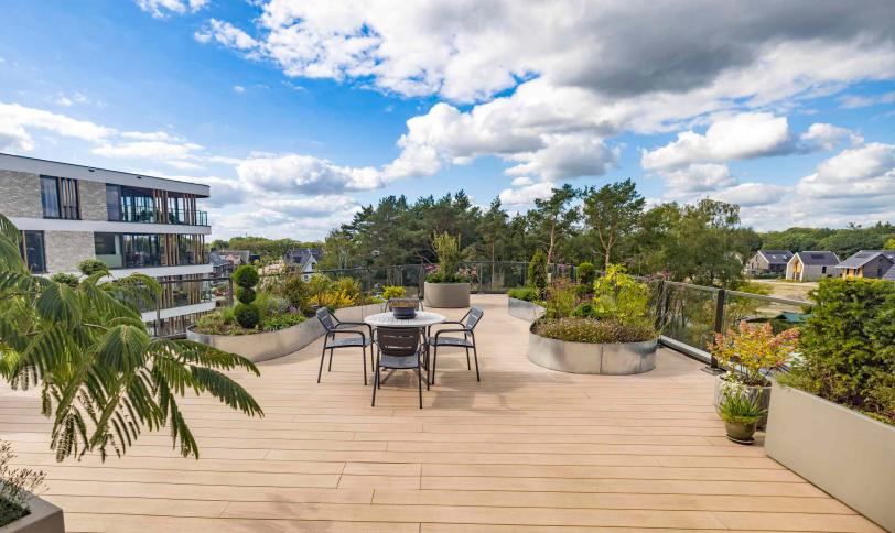 Marrone Colorado vera